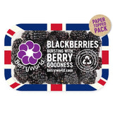 BerryWorld Blackberries