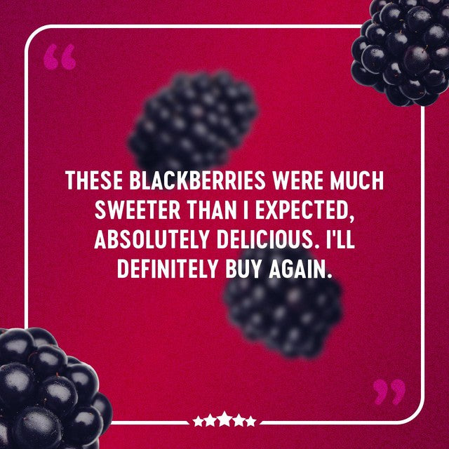 BerryWorld Blackberries